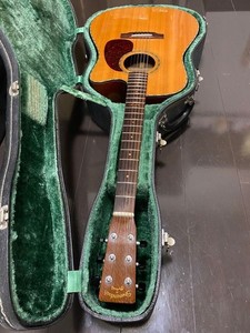 Martin Shenandoah Guitar for sale | eBay