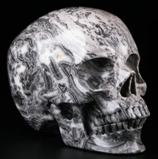 Huge 5.0" Picasso Jasper Carved Skull, Super Realistic, Crystal Healing