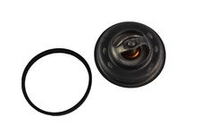 Thermostat Renault FUEGO