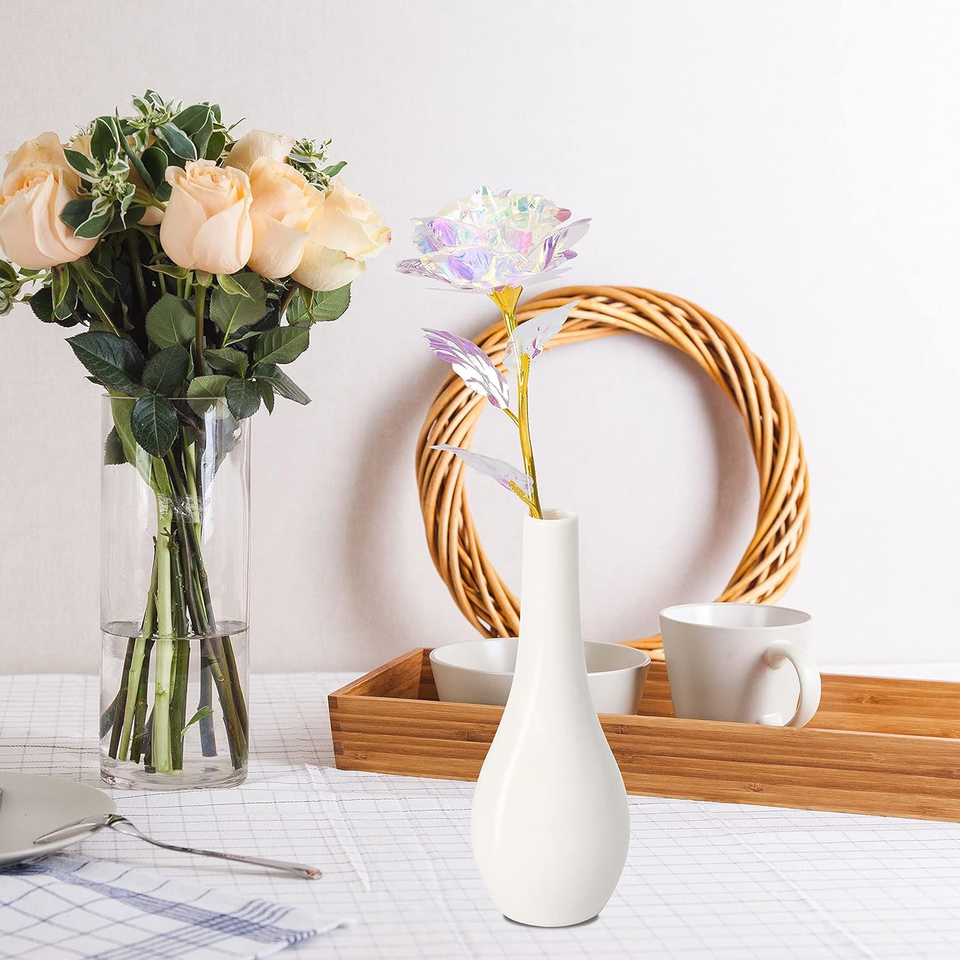 Christmas Romantic Rose Gifts for Her,Birthday Gifts for Women,Rainbow