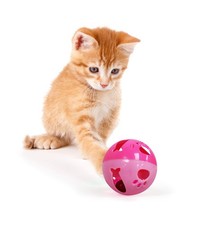 Pets First Large Size Cat Ball with Bell Toy for Cats one size, Pink or Blue