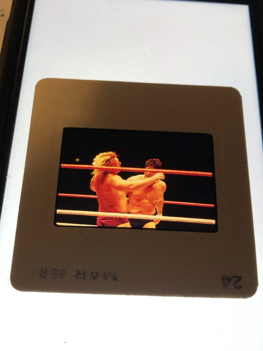 25+ WWF Wrestling Fan Apparel & Souvenirs for sale | Updated Oct 2026