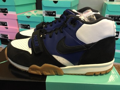 polar nike