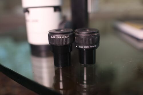 Testa microscopio zoom stereo Wild Heerbrugg M3Z con 2 oculari Leica 10x/23 - Foto 2 di 12