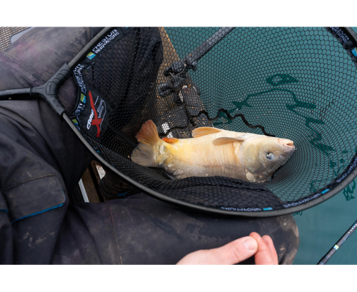 Rete da atterraggio Preston Carp XS - Foto 7 di 8