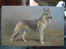 Old postcard illustrator signed i rivst shepherd Alsatian dog dog