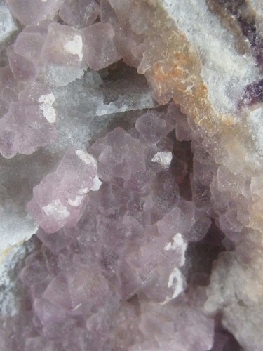 Purple Fluorite Crystals on White Quartz Matrix, Arizona. 8 x 8 cm. - Picture 8 of 9