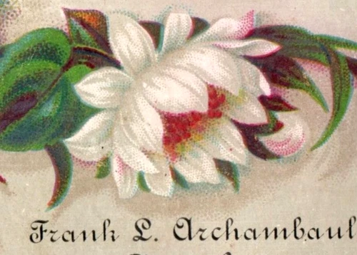 1880s Frank L. Archambault Jeweler Ladybug Butterfly Moth Lot Of 2 F123