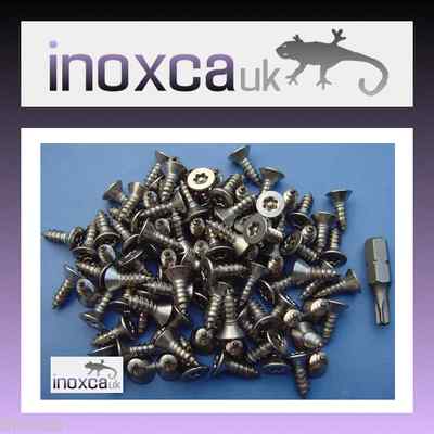 TORX STIFT HOLZSCHRAUBEN CSK EDELSTAHL A2 MANIPULATIONSSICHERUNG TX20 T20 + BIT