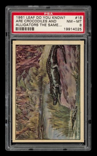 1961 Leaf Do You Know? Set-Break # 18 Are Crocodiles And Alligators PSA 8