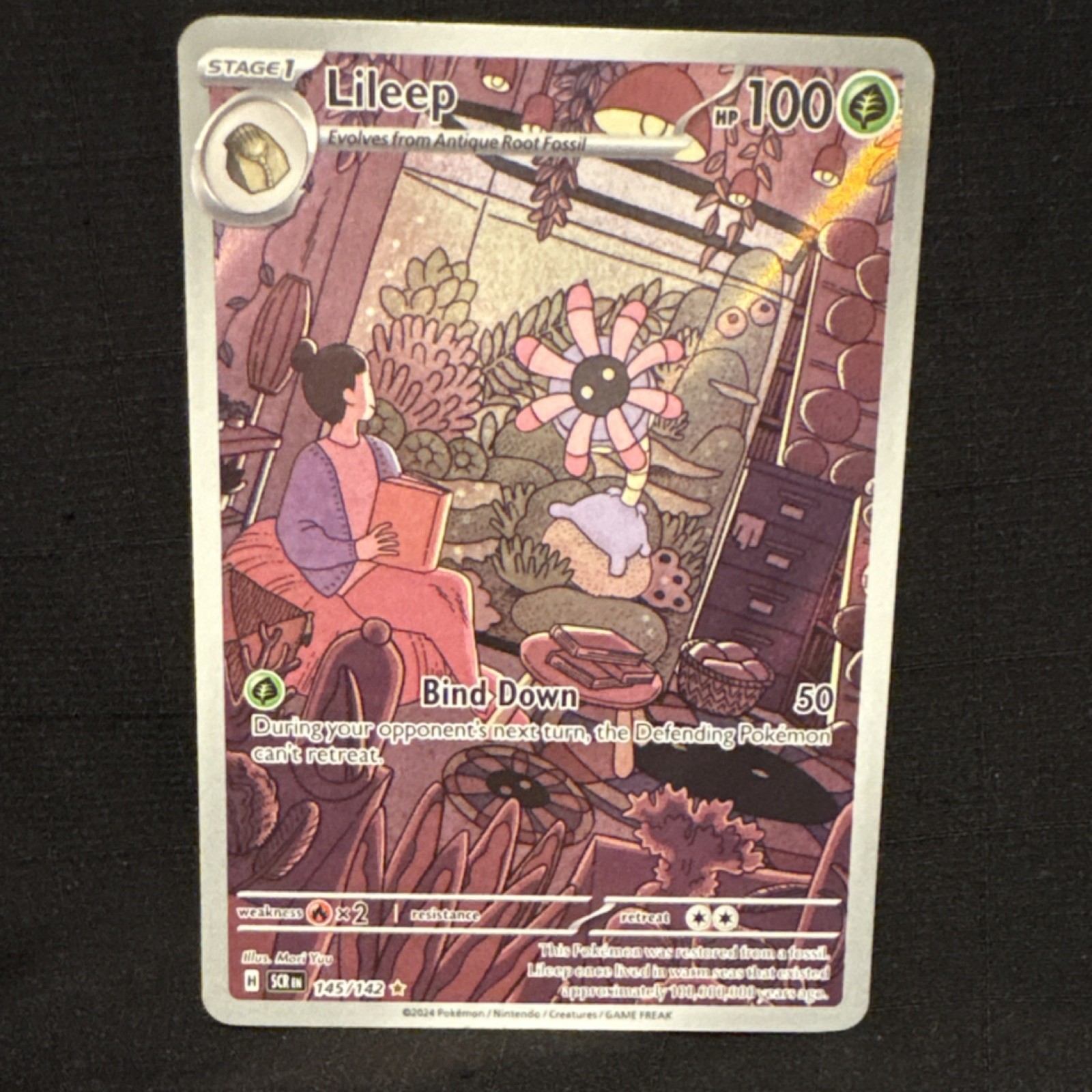 Pokémon Lileep 145/142 Sv07: Stellar Crown Illustration Rare Holo English 100HP