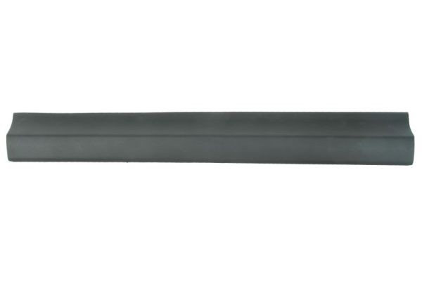 Left Front BLIC 5703-06-8178575P Trim/Protection Strip, door for TOYOTA