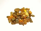 Lot of Baltic Amber Raw Stones Small Multicolor Natural Gemstones 6759