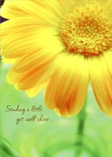 Designer Greetings Large Sunflower Photo Get Well Cheer Card