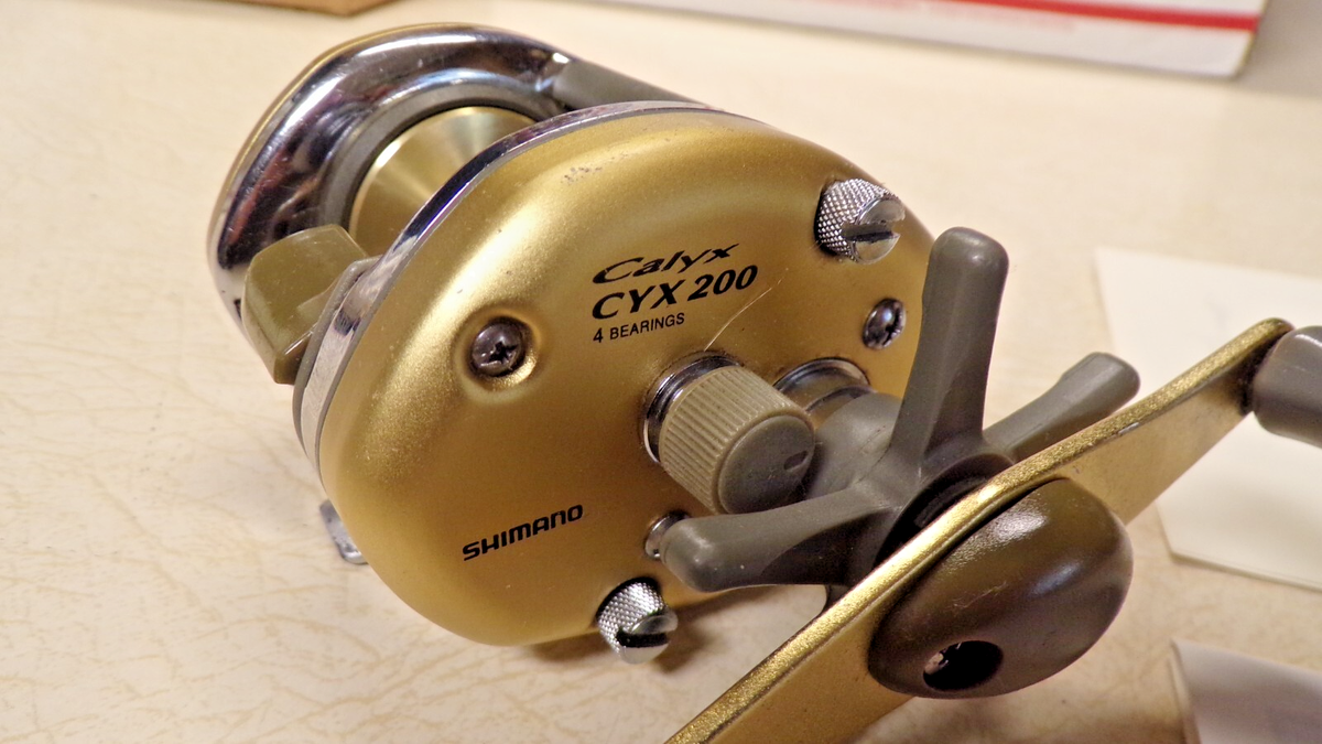 best rods and reels for saltwater fishing Top Saltwater Spinning Reels
