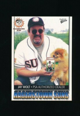 2004 Multi-Ad Hagerstown Suns #36 Jay Wolt PSA authorized Dealer SWSW6