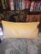 Our Home pale yellow velvet case over feather pillow.