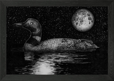 Loon By Moonlight Gerahmtes Wandbild Poster Leinwanddruck Bild