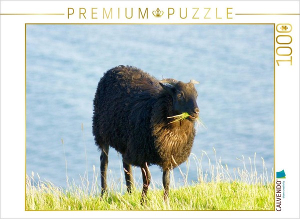 Calvendo Puzzle Schwarzes Schaf Auf Helgoland | 1000 Teile Lege-GrößE 64X48Cm Fo-image
