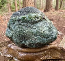 Fossil Fish , Mineralized, 192g High-Grade Mineralization - WA ,