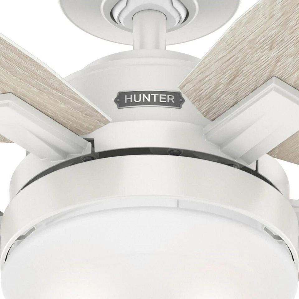 Hunter Fan 52 in Contemporary in Fresh White Ceiling Fan w Light and Pull Chain - Image 2 of 4
