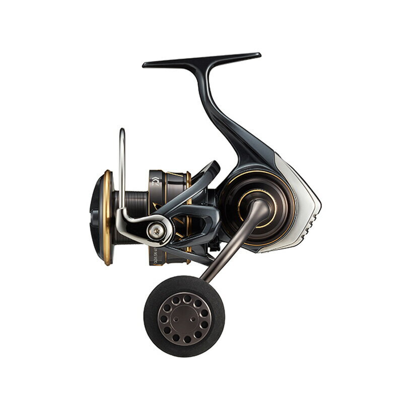 Daiwa 22 CALDIA SW 4000D-CXH Saltwater Spinning reel Casting