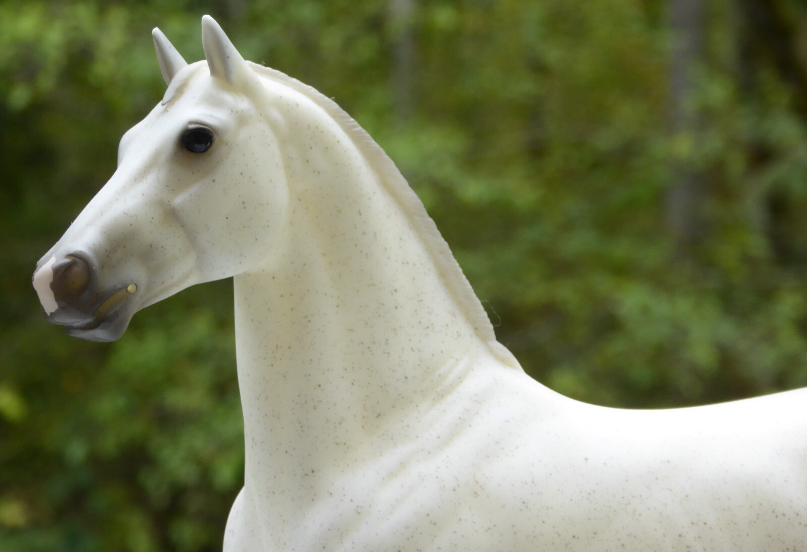 Breyer Cedric Show Jumping model horse with vintage saddle eBay