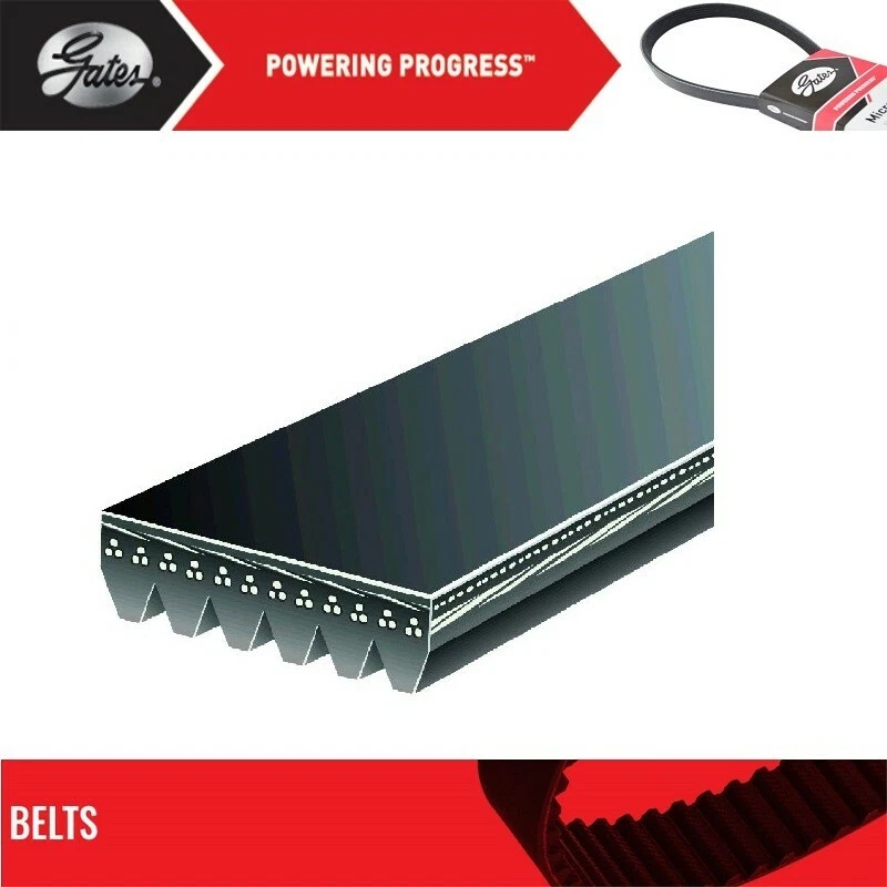 Puertas de cinturón serpentina para MERCEDES-BENZ 350SDL L6-3,4 L 1990-1991 Foto 2 de 3