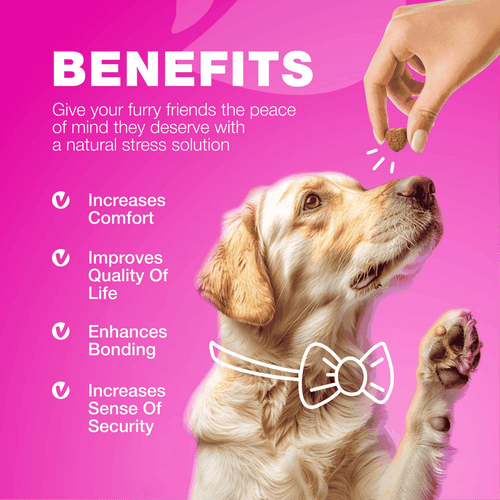 Dog UTI Treatment Dog Cranberry Supplement for Bladder Kidney Health Urinary - Bild 9 von 9