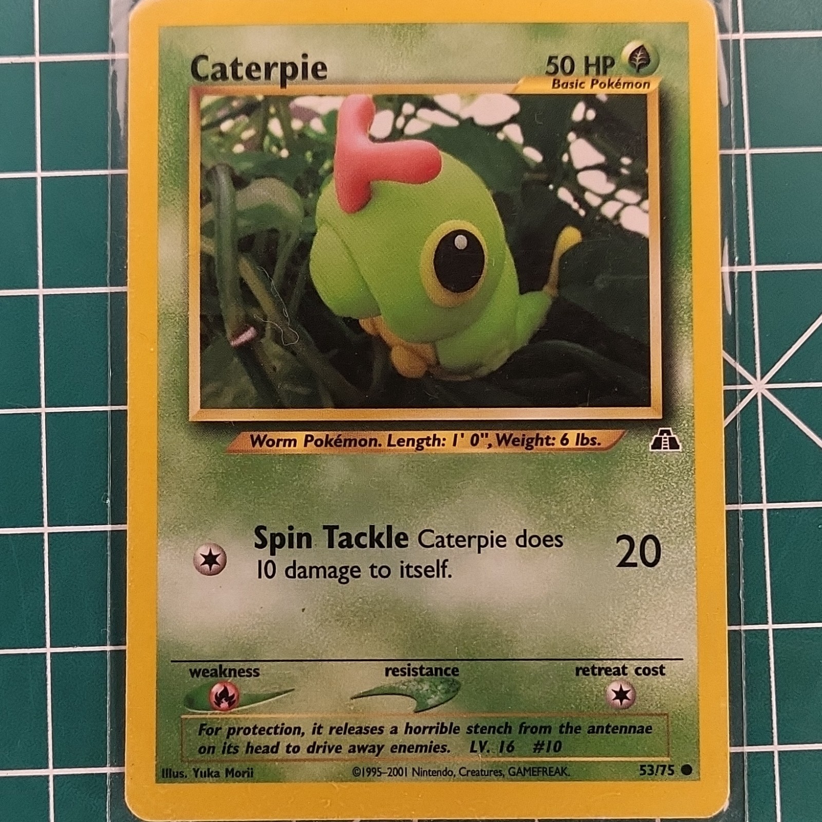 FREE SHIPPING!! CATERPIE 53/75 NEO DISCOVERY COMMON