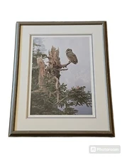 Vintage Terry Isaac Spotted Owl Framed Under Glass Print Numbered 295/950 Signed