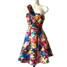 Multicolor Fit and Flare Dress