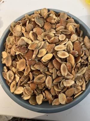 Ogbono Seed/ Africa Mango Seed