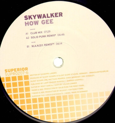 Skywalker - How Gee (12'') (Very Good (VG)) - 2430107651