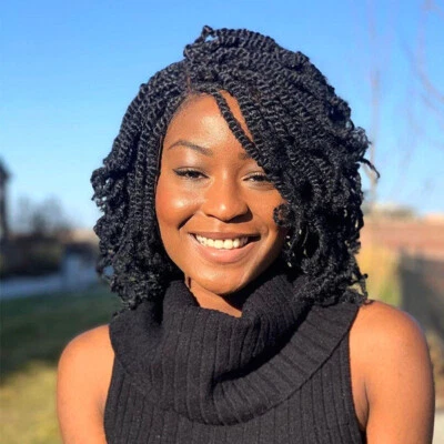 Twisted Braid Hair Afro Kinky Curly Wig Crochet Twist Braided Natural Soft Hair