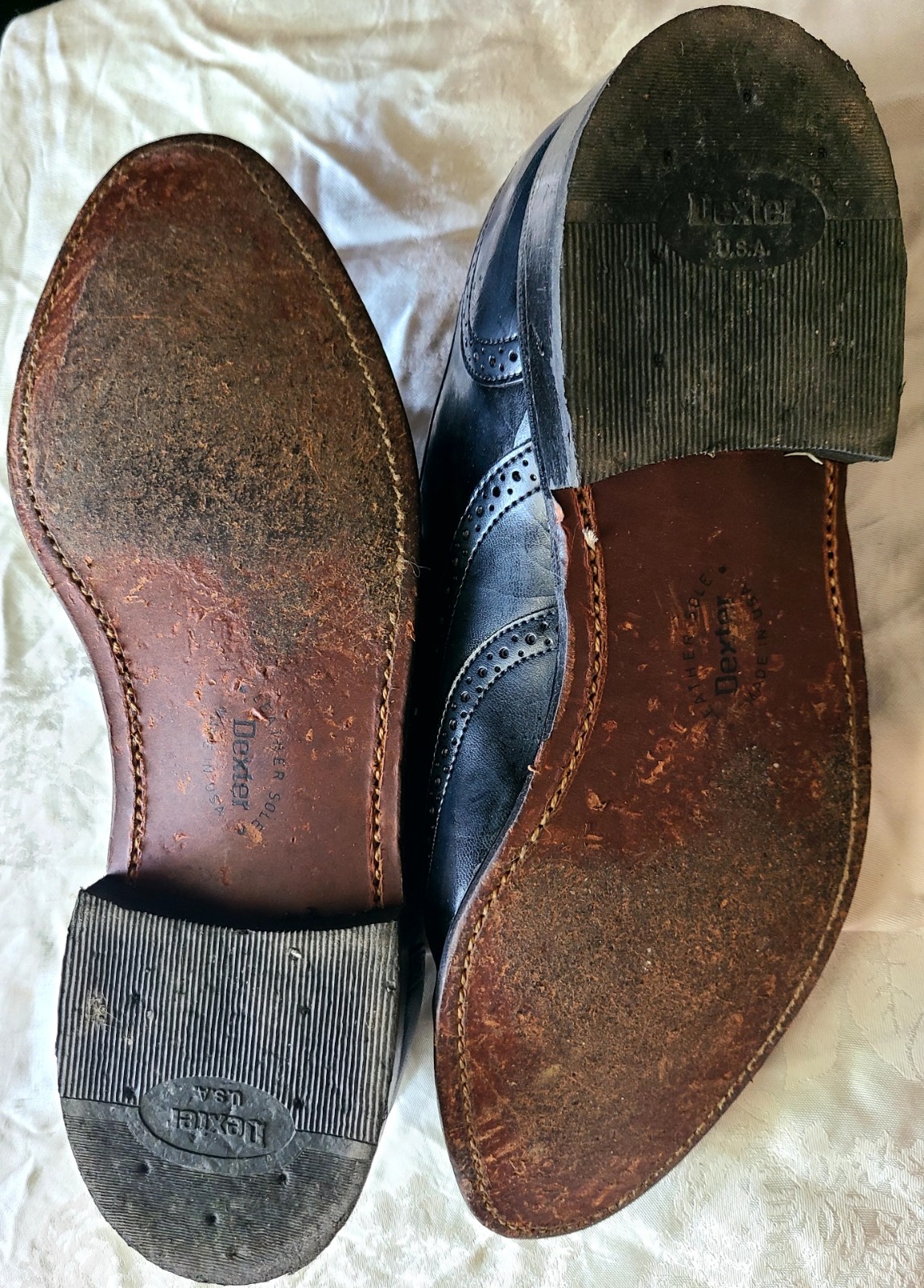 SAOLA Dexter Punte alari nere USA 11 M