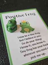 Pocket Hug / Pet Frog Gift 