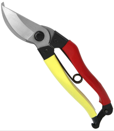 [UK Dispatch] Senkichi scissors left handed secateurs with 200mm fixed clip - Afbeelding 1 van 4