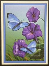 ST KITTS BUTTERFLY STAMPS 2001 MNH COMMON MORPHO BUTTERFLIES BUG INSECT FLOWER 1