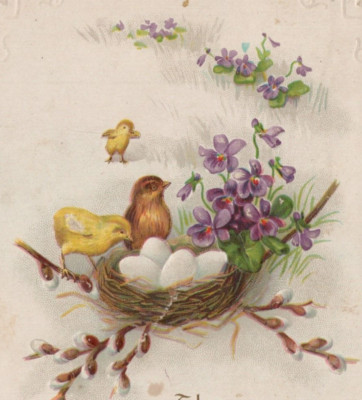 Eggs in Bird's Family Nest Easter Greetings Divided Back Vintage Post Card