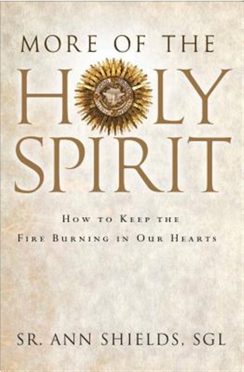 More of the Holy Spirit: How to Keep the Fire Burning in Our Hearts by Shield...