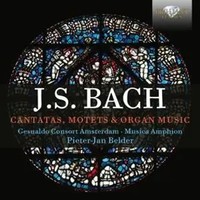 Bach,J.S.:Cantatas,Motets & Organ Music | Various | Audio-Cd | CD | 2023