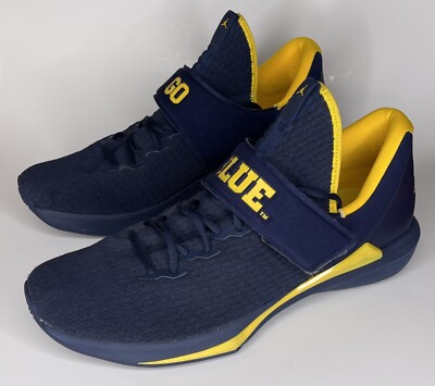 men's michigan jordans