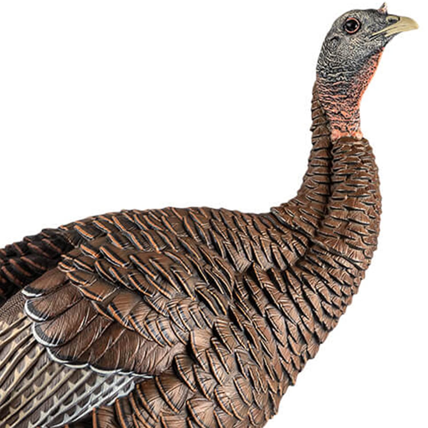 Avian X HDR Hen Turkey Decoy thumbnail 5