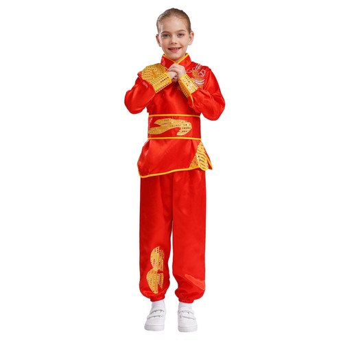 Jungen Set Kung Fu Anzug Fancy Ausrüstung Lange Ärmel Kostüm Atmungsaktiv Bühne - Picture 22 of 47