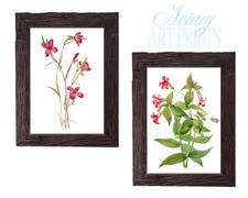Pink Watercolor Botanical Art Print Set
