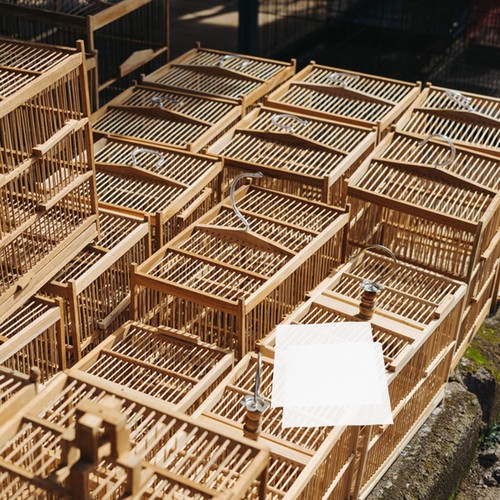 300 Pcs Bird Cage Liners Extra Large Sand Paper for Bed Sheet Parrot Pet - Picture 6 of 12
