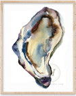 Oyster Shell Watercolor Print Coastal Nautical Wall Art Beach Decor