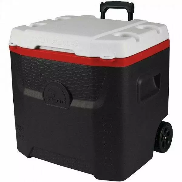 Igloo Thermos - Coolers - Fishing