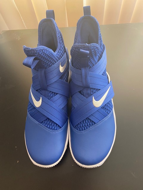 lebron soldier 12 sfg blue